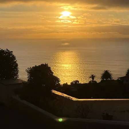 Magnolia Sunsets * Calheta (Madeira)